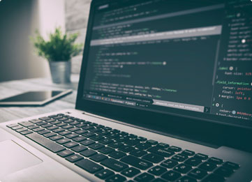 Custom Development