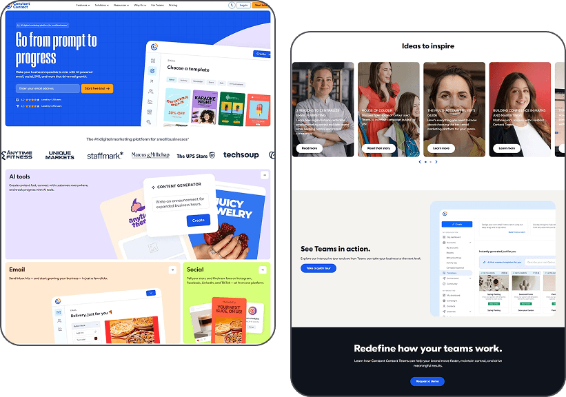 Step 2: Design & Development